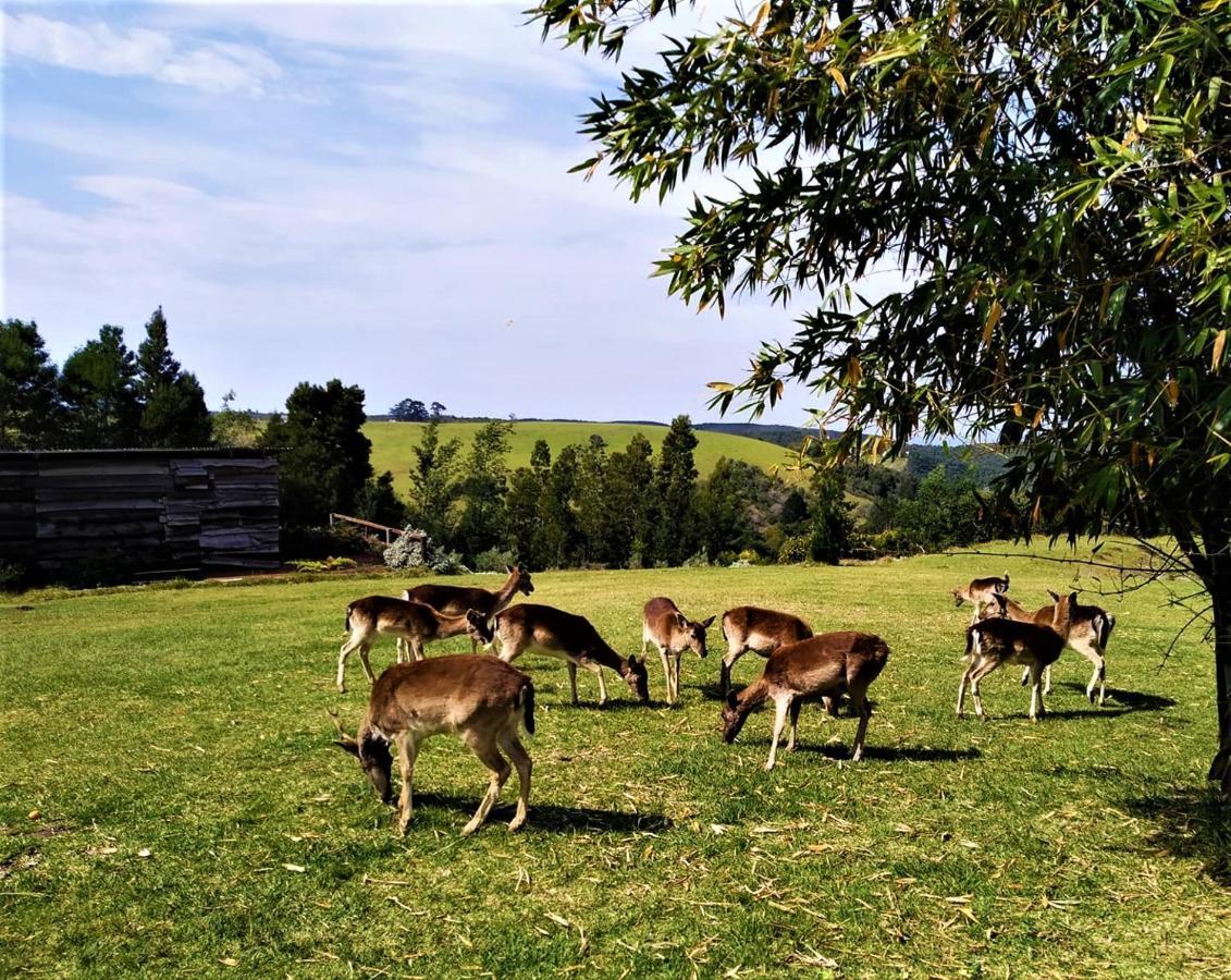 Green Hills Forest Lodge The Crags エクステリア 写真