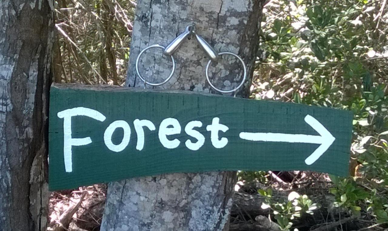 Green Hills Forest Lodge The Crags エクステリア 写真